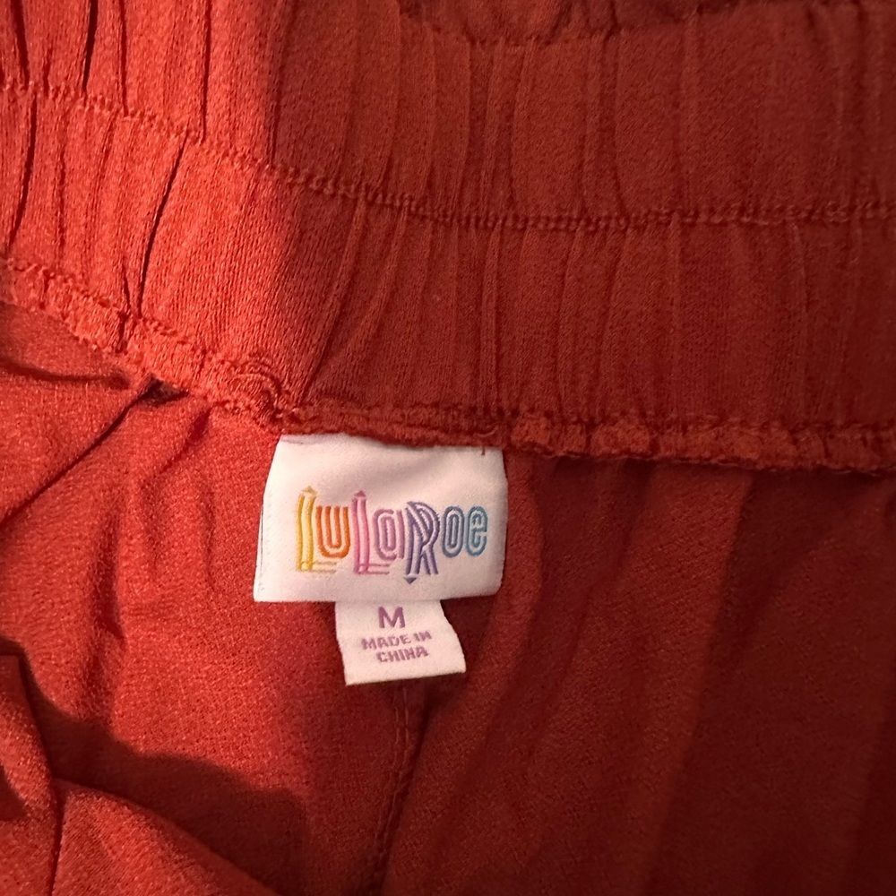 Lularoe Ella rust paper bag waist shorts M - Picture 3 of 3